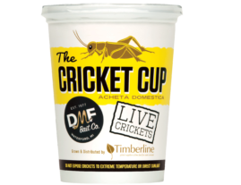 DMF Bait Live Crickets (50-ct)